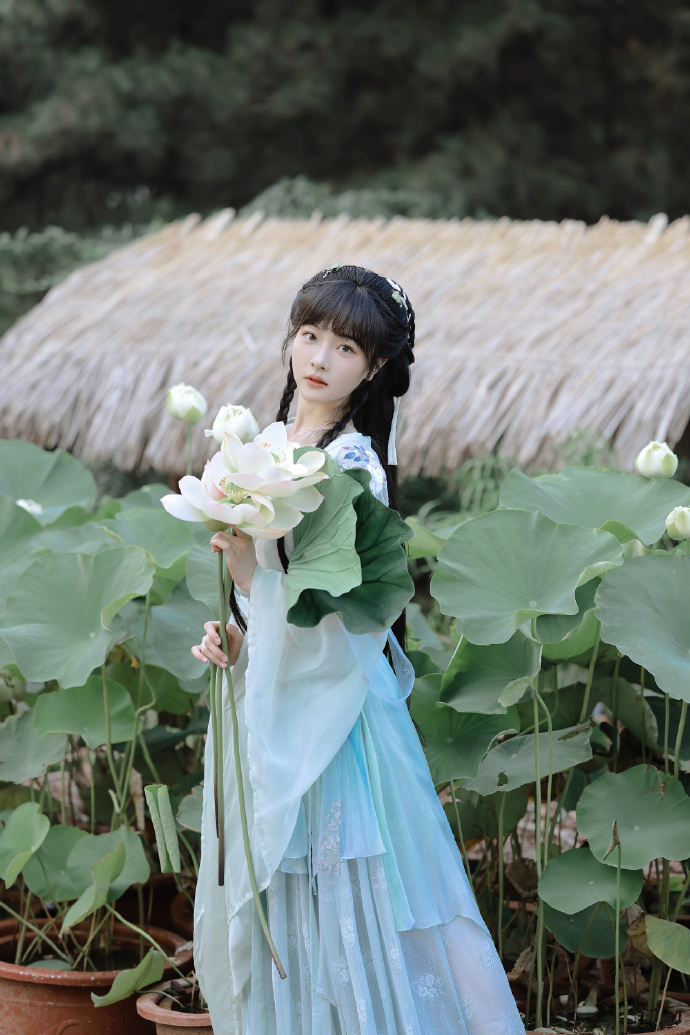 完美的日子